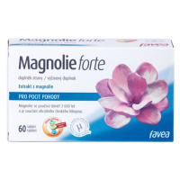 Favea Magnolie forte 60 tablet