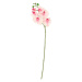 Dekoria Větvička Orchid 65cm light pink, 65 cm