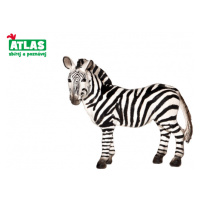 Atlas D Zebra 10 cm