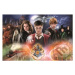 Tajemný Harry Potter - puzzle z kategorie 60 - 300 dílků