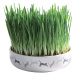 Trixie keramická miska s trávou pro kočky - Ø 15 x 4 cm