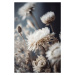 Fotografie Dry Pastel Flowers No 2, Treechild, 26.7 × 40 cm