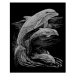 Škrábací obrázek stříbrný - Delfíni