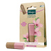 KNEIPP Mandle Lip Care 4,7 g