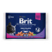 Brit Premium Cat rybací multipack 4 x 100 g