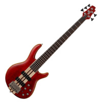 Cort A5 Plus FMMH Open Pore Black Cherry