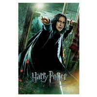 Umělecký tisk Harry Potter - Relikvie smrti - Snape, (26.7 x 40 cm)