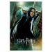 Umělecký tisk Harry Potter - Relikvie smrti - Snape, (26.7 x 40 cm)