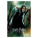 Umělecký tisk Harry Potter - Relikvie smrti - Snape, 26.7 × 40 cm