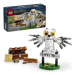 LEGO® Harry Potter™ 76425 Hedvika na Zobí ulici 4