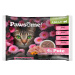 Pawsome Adult Cat 8 x 85 g - výhodné balení - krůtí