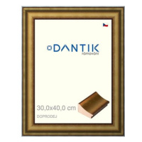 DANTIK rámeček 30 × 40, METAL AU prohlý velký plexi čiré