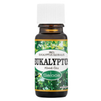 Saloos Eukalyptus - Čína 10 ml