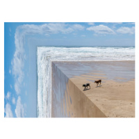 Ilustrace Perspective bending image of two dogs on a beach, ImagePatch, 40 × 30 cm