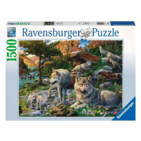 Ravensburger 16598 puzzle jarní vlci 1500 dílků