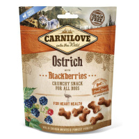 CARNILOVE dog OSTRICH/blackberries - 200g