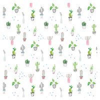 Ilustrace Houseplants and cacti, Laura Irwin, 40 × 40 cm