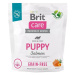 Brit Care Dog Grain-free s lososem Puppy 1 kg