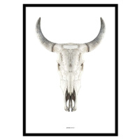 Plakát v rámu 50x70 cm Cow Skull – Malerifabrikken