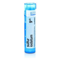 BOIRON Sulfur Iodatum CH9 4 g