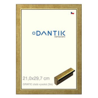 DANTIK rámeček 21 × 29,7, GRAFIC zlatý vysoký sklo čiré