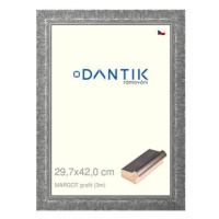 DANTIK rámeček 29,7 × 42, MARGOT grafit plexi čiré