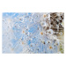 Fotografie Dandelion and dew drops - Abstract, Kerrick, 40 × 26.7 cm