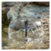 Esotec Solární fontána Esotec WaterSplash 101013 10W / 610 l/h