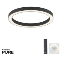 PAUL NEUHAUS LED stropní svítidlo PURE-LINES antracit 50x50 stmívatelné CCT 2700-5000K PN 6309-1