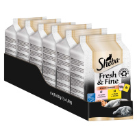 Sheba Fresh & Fine v omáčce s kuřecím masem a lososem 36 × 50 g