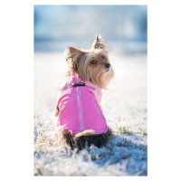 Vsepropejska Aston obleček pro psa na zip Barva: Růžová, Délka zad (cm): 29, Obvod hrudníku: 36 