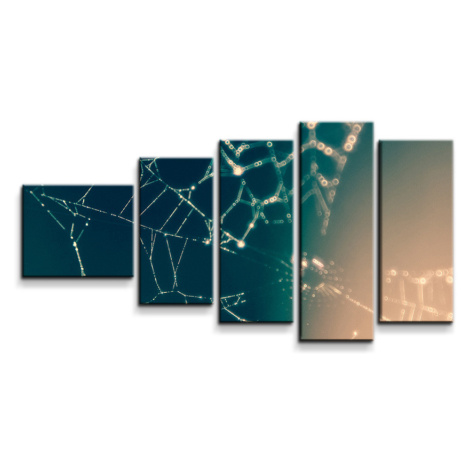 Obraz - 5-dílný Pavučina - 100x60 cm