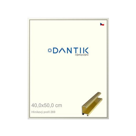 DANTIK rámeček 40 × 50, ALU profil 7269 Zlatý lesklý plexi čiré