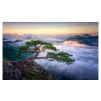 Fotografie On the rock, Tiger Seo, 40x24.6 cm