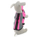 Vsepropejska Float růžová plovací vesta pro psa Délka zad (cm): 45, Obvod hrudníku: 63 – 98 cm