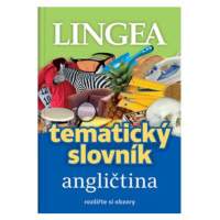 Angličtina - Tematický slovník rozšiřte si obzory