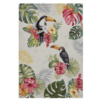 Hanse Home Collection koberce Kusový koberec Flair 105608 Tropical Dream Creme Multicolored – na