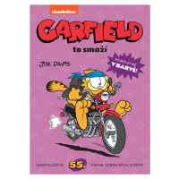 Garfield to smaží (č. 55) - Jim Davis