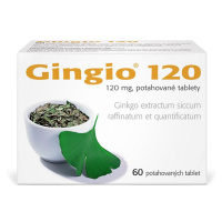 GINGIO 120MG TBL FLM 60