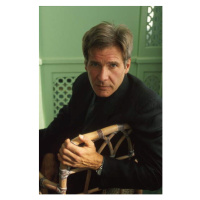 Fotografie American actor Harrison Ford in 1993, 26.7x40 cm