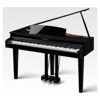 Kawai DG30