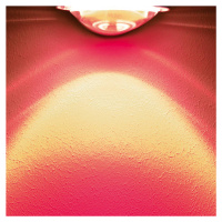 Top Light Barevný filtr pro nástěnné světlo Focus, purpurová