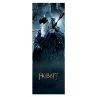 Umělecký tisk Hobbit-Gandalf, 64x180 cm