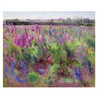 Obrazová reprodukce The Delphinium Field, 1991, Timothy Easton, 40 × 33.1 cm