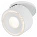 PAULMANN Vestavné svítidlo LED Spircle bílá mat 8,0W 3.000K 36° 933.72