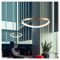 Viokef LED závěsné světlo Loop, zlaté, Ø 60 cm