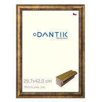 DANTIK rámeček 29,7 × 42, TRITON zlatý plexi čiré