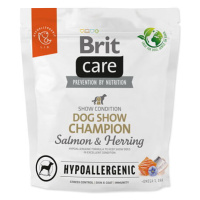 BRIT Care Dog Hypoallergenic Dog Show Champion 1 kg