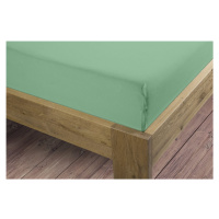 Bierbaum jersey prostěradlo celadon - 140-160 x 200 cm