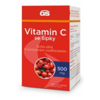 GS Vitamin C500 se šípky tbl.100+20